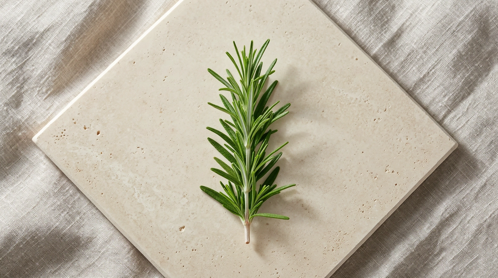 Botanical detail representing nutritional precision
